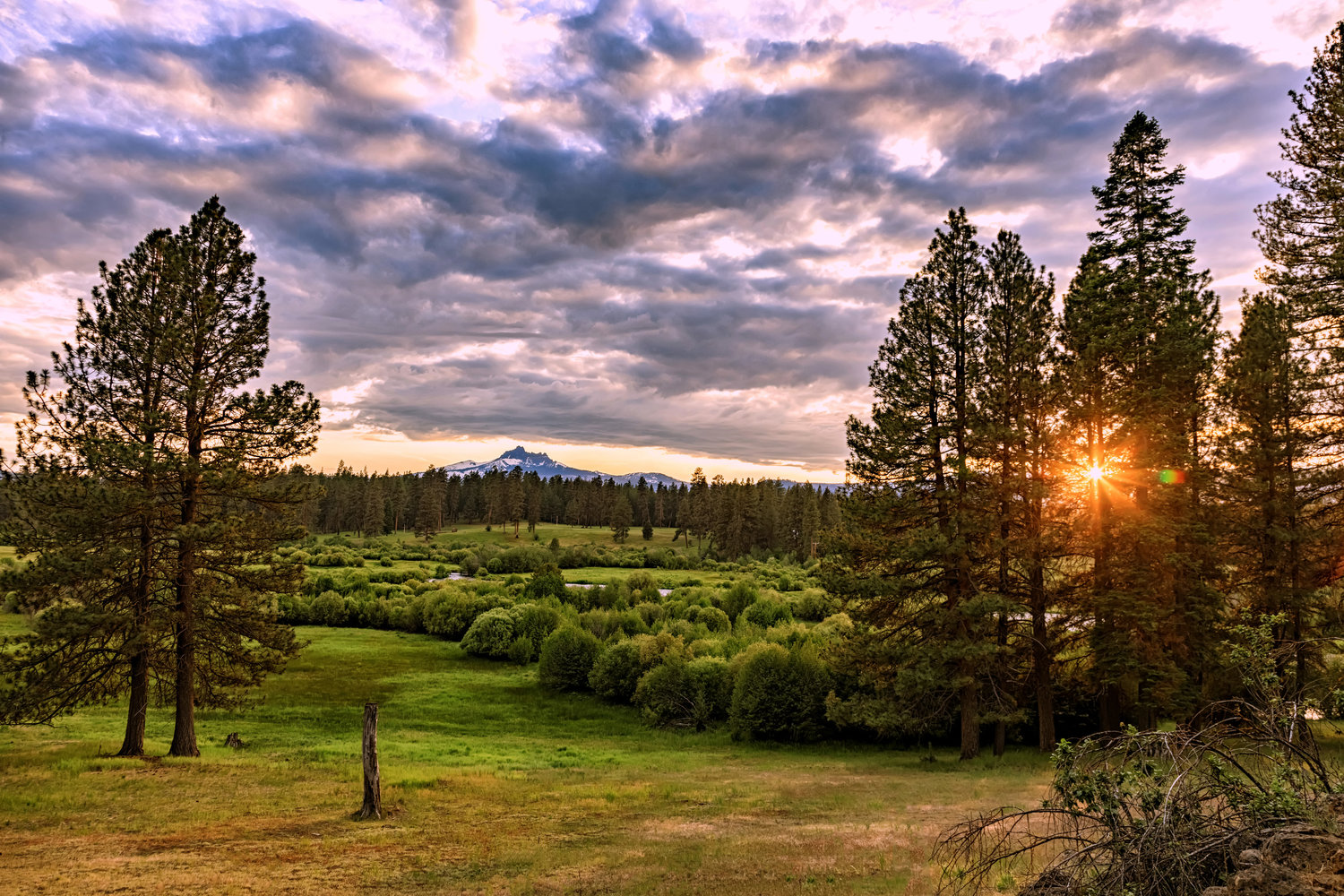 House on the Metolius Wedding